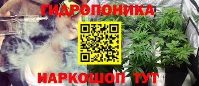 гидропоника Пушкино