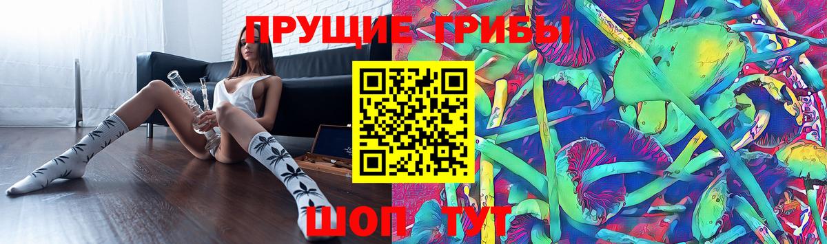 Галлюциногенные грибы Cubensis Россошь